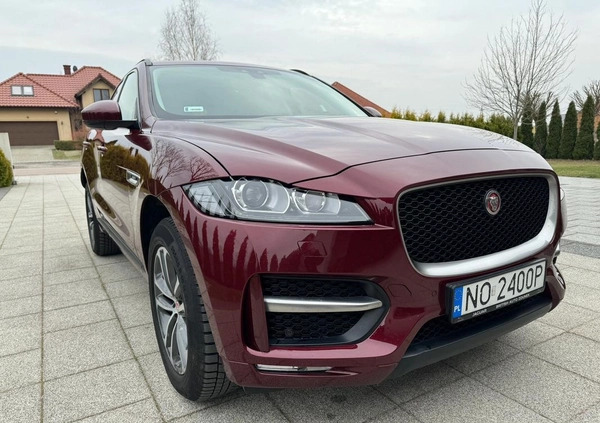 Jaguar F-Pace cena 125000 przebieg: 78600, rok produkcji 2016 z Olsztyn małe 106